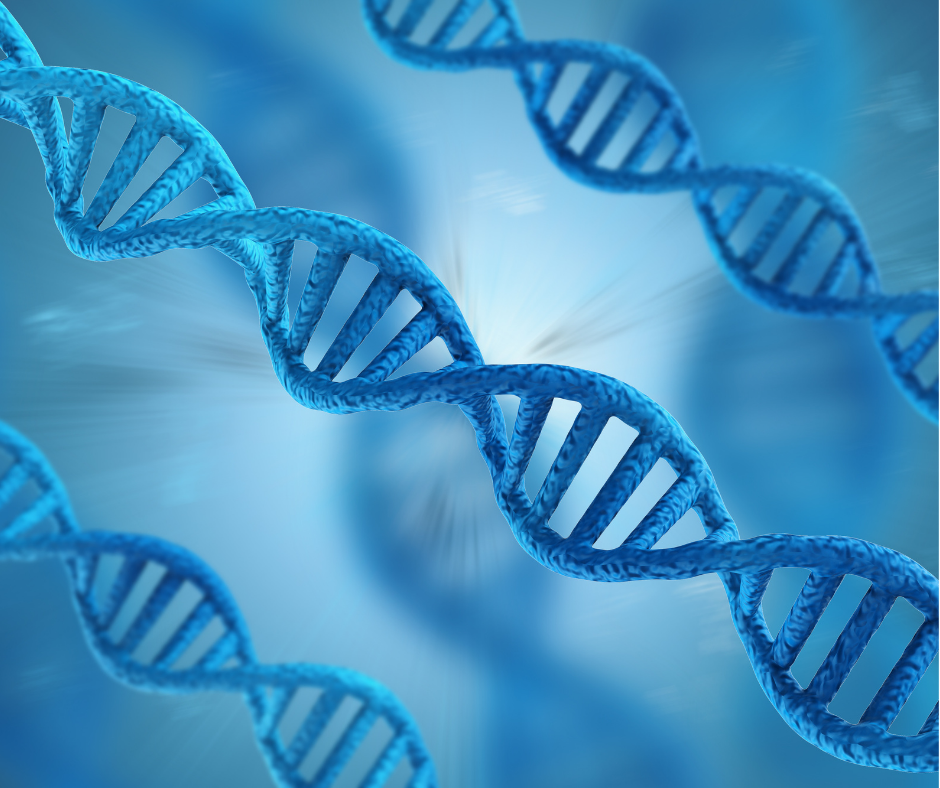 Generic DNA illustration